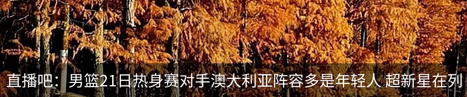 最新动态